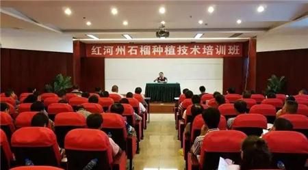 农函大04.png